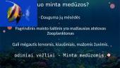 Kas yra medūzos 4 puslapis