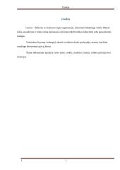 Referatas apie Caritą 2 puslapis