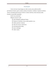 Referatas apie Caritą 11 puslapis