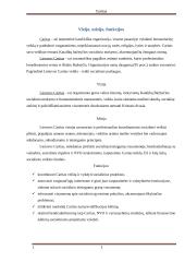 Referatas apie Caritą 3 puslapis