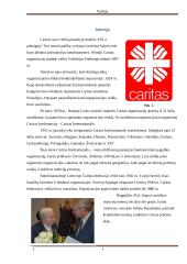 Referatas apie Caritą 4 puslapis