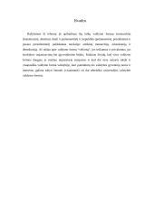 Valstybės valdymo formos 13 puslapis