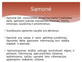 Sąmonė ir jos būsenos 2 puslapis