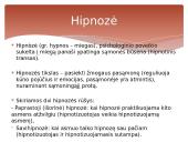 Sąmonė ir jos būsenos 16 puslapis