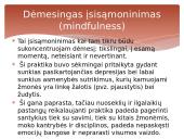 Sąmonė ir jos būsenos 18 puslapis