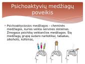 Sąmonė ir jos būsenos 20 puslapis