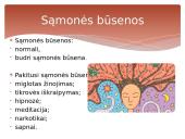 Sąmonė ir jos būsenos 3 puslapis