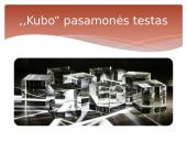 Sąmonė ir jos būsenos 7 puslapis