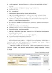 Valstybiniai uostai ir uosto organizavimo pagrindai 12 puslapis