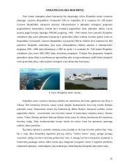 Valstybiniai uostai ir uosto organizavimo pagrindai 16 puslapis