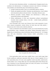 Valstybiniai uostai ir uosto organizavimo pagrindai 18 puslapis