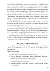 Valstybiniai uostai ir uosto organizavimo pagrindai 6 puslapis