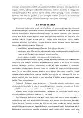 Valstybiniai uostai ir uosto organizavimo pagrindai 8 puslapis