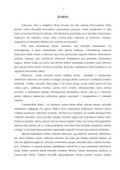 Valstybinio sektoriaus skolos finansavimo būdai 2 puslapis