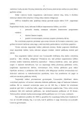 Valstybinio sektoriaus skolos finansavimo būdai 11 puslapis