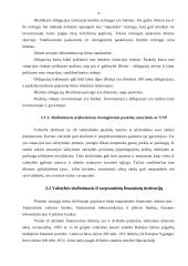 Valstybinio sektoriaus skolos finansavimo būdai 13 puslapis