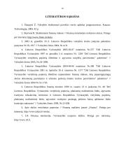 Valstybinio sektoriaus skolos finansavimo būdai 19 puslapis