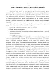 Valstybinio sektoriaus skolos finansavimo būdai 4 puslapis