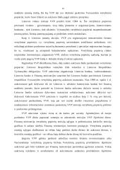 Valstybinio sektoriaus skolos finansavimo būdai 10 puslapis