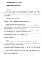 Vamzdynai 2 puslapis