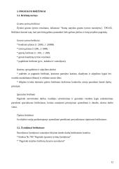 Vamzdynai 12 puslapis