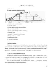 Vamzdynai 15 puslapis