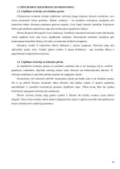 Vamzdynai 16 puslapis