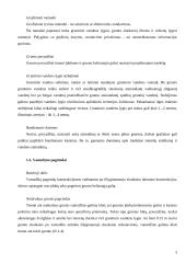 Vamzdynai 3 puslapis