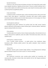 Vamzdynai 4 puslapis