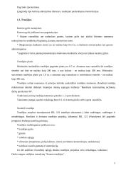 Vamzdynai 5 puslapis