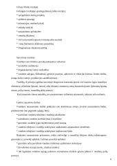 Vamzdynai 6 puslapis