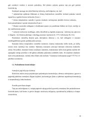 Vamzdynai 10 puslapis