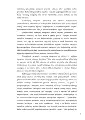 Vamzdynų transportavimas 4 puslapis