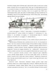 Vandens transportas 12 puslapis