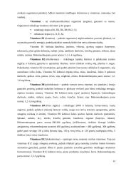 Sveikatos ir fizinio parengtumo principai 13 puslapis