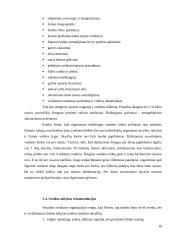 Sveikatos ir fizinio parengtumo principai 17 puslapis