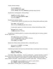 Vardininko linksnio vartojimas 4 puslapis