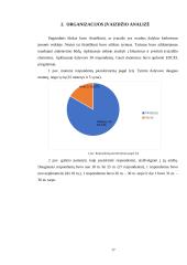 Įvaizdis ir jo įtaka organizacijoje referatas 17 puslapis