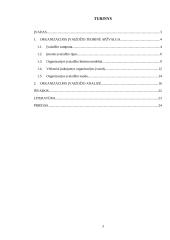 Įvaizdis ir jo įtaka organizacijoje referatas 3 puslapis