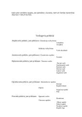 Varliagyviai 4 puslapis