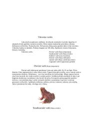 Varliagyviai 8 puslapis