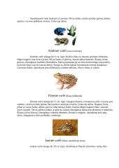 Varliagyviai 9 puslapis