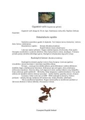 Varliagyviai 10 puslapis