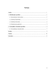 Vartotojiškumas globalioje visuomenėje 11 puslapis