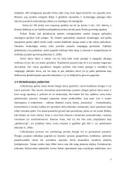 Vartotojiškumas globalioje visuomenėje 5 puslapis