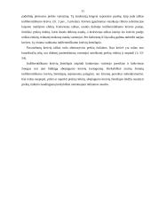 Vartotojo rinka ir poreikiai 11 puslapis