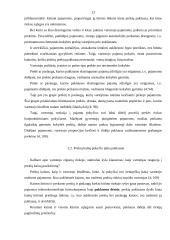 Vartotojo rinka ir poreikiai 13 puslapis