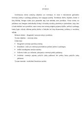 Vartotojo rinka ir poreikiai 3 puslapis