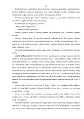 Vartotojo rinka ir poreikiai 10 puslapis