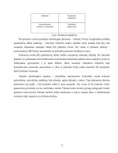 Vartotojų elgesį įtakojančių veiksnių analizė: UAB "IKI" 16 puslapis